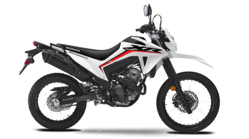 XR 300L BLANCA