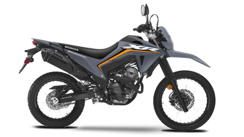 XR 300L GRIS